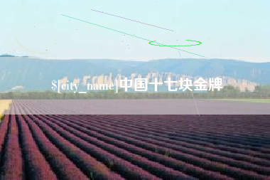 高密中国十七块金牌