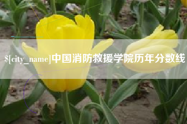 高密中国消防救援学院历年分数线
