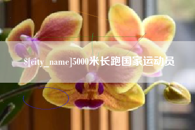 高密5000米长跑国家运动员