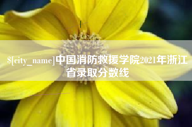 高密中国消防救援学院2021年浙江省录取分数线