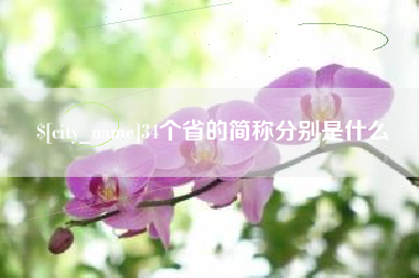 高密34个省的简称分别是什么