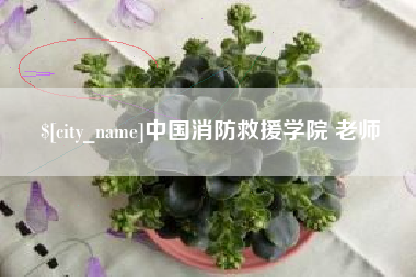 高密中国消防救援学院 老师