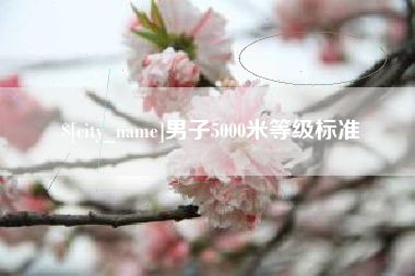 高密男子5000米等级标准