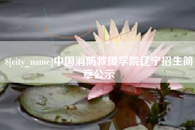 高密中国消防救援学院辽宁招生简章公示