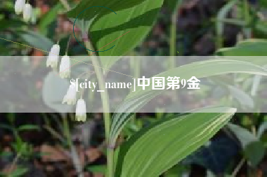 高密中国第9金