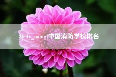 高密中国消防学校排名