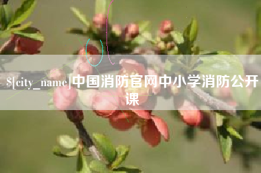 高密中国消防官网中小学消防公开课