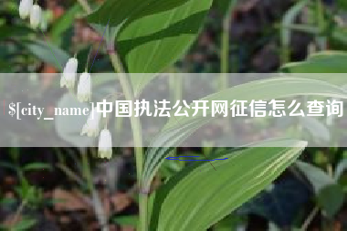 高密中国执法公开网征信怎么查询