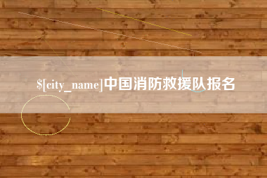 高密中国消防救援队报名