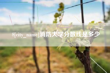 高密消防大学分数线是多少