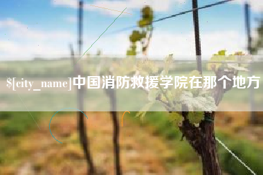 高密中国消防救援学院在那个地方