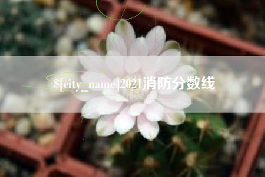高密2021消防分数线