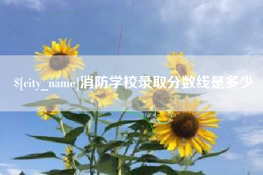 高密消防学校录取分数线是多少
