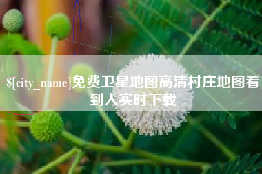 高密免费卫星地图高清村庄地图看到人实时下载