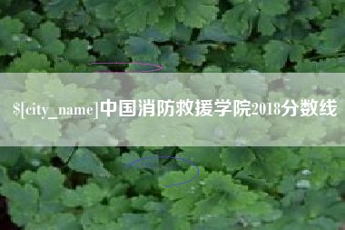 高密中国消防救援学院2018分数线