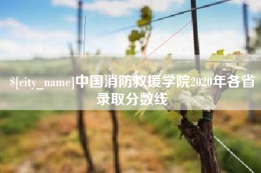 高密中国消防救援学院2020年各省录取分数线