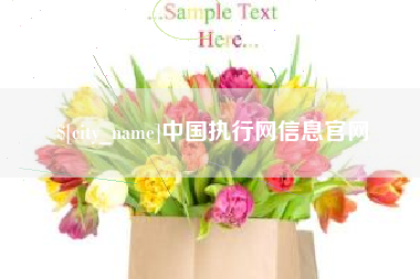 高密中国执行网信息官网