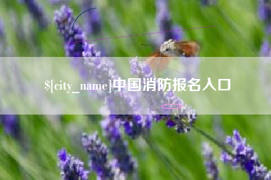 高密中国消防报名入口