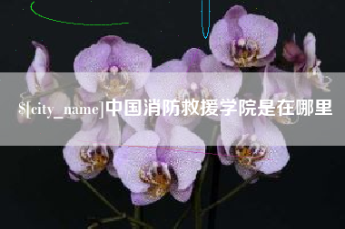 高密中国消防救援学院是在哪里