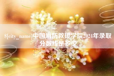 高密中国消防救援学院2024年录取分数线是多少