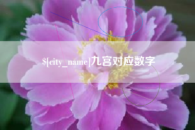 高密九宫对应数字
