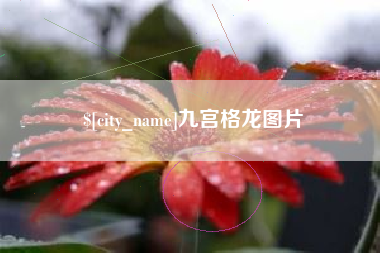 高密九宫格龙图片