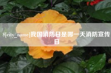 高密我国消防日是哪一天消防宣传日