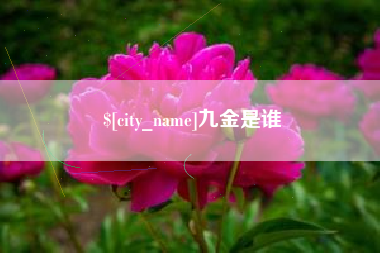 高密九金是谁