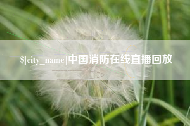 高密中国消防在线直播回放