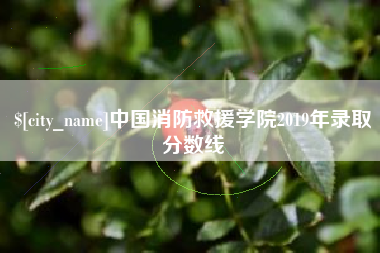 高密中国消防救援学院2019年录取分数线