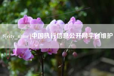 高密中国执行信息公开网平台维护