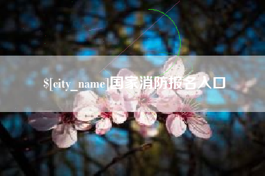 高密国家消防报名入口