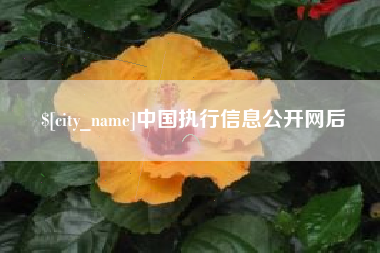 高密中国执行信息公开网后