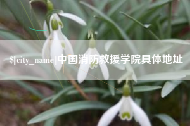 高密中国消防救援学院具体地址