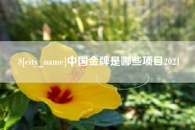 高密中国金牌是哪些项目2021