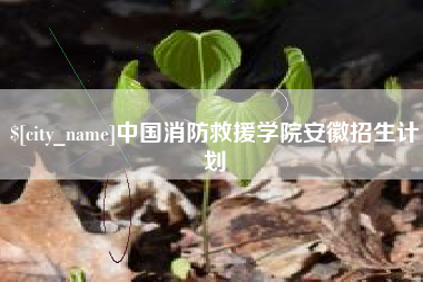 高密中国消防救援学院安徽招生计划
