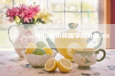 高密中国消防救援学院分数2020