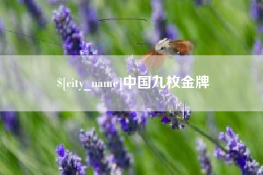 高密中国九枚金牌