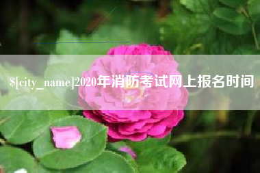 高密2020年消防考试网上报名时间