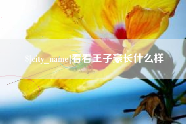 高密看看王子豪长什么样
