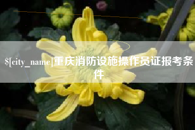 高密重庆消防设施操作员证报考条件