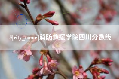 高密消防救援学院四川分数线