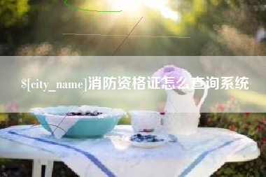 高密消防资格证怎么查询系统