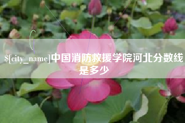 高密中国消防救援学院河北分数线是多少