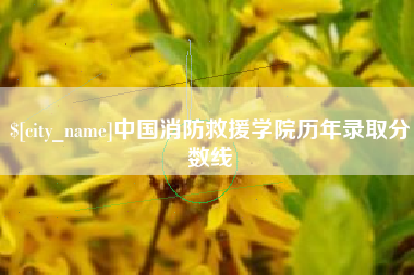 高密中国消防救援学院历年录取分数线