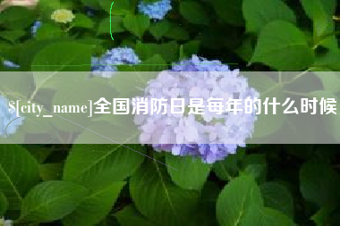 高密全国消防日是每年的什么时候