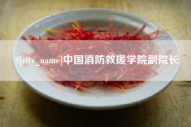 高密中国消防救援学院副院长