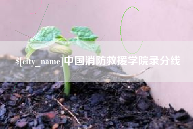 高密中国消防救援学院录分线