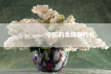 高密中国的金牌有几名
