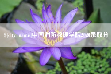 高密中国消防救援学院2020录取分